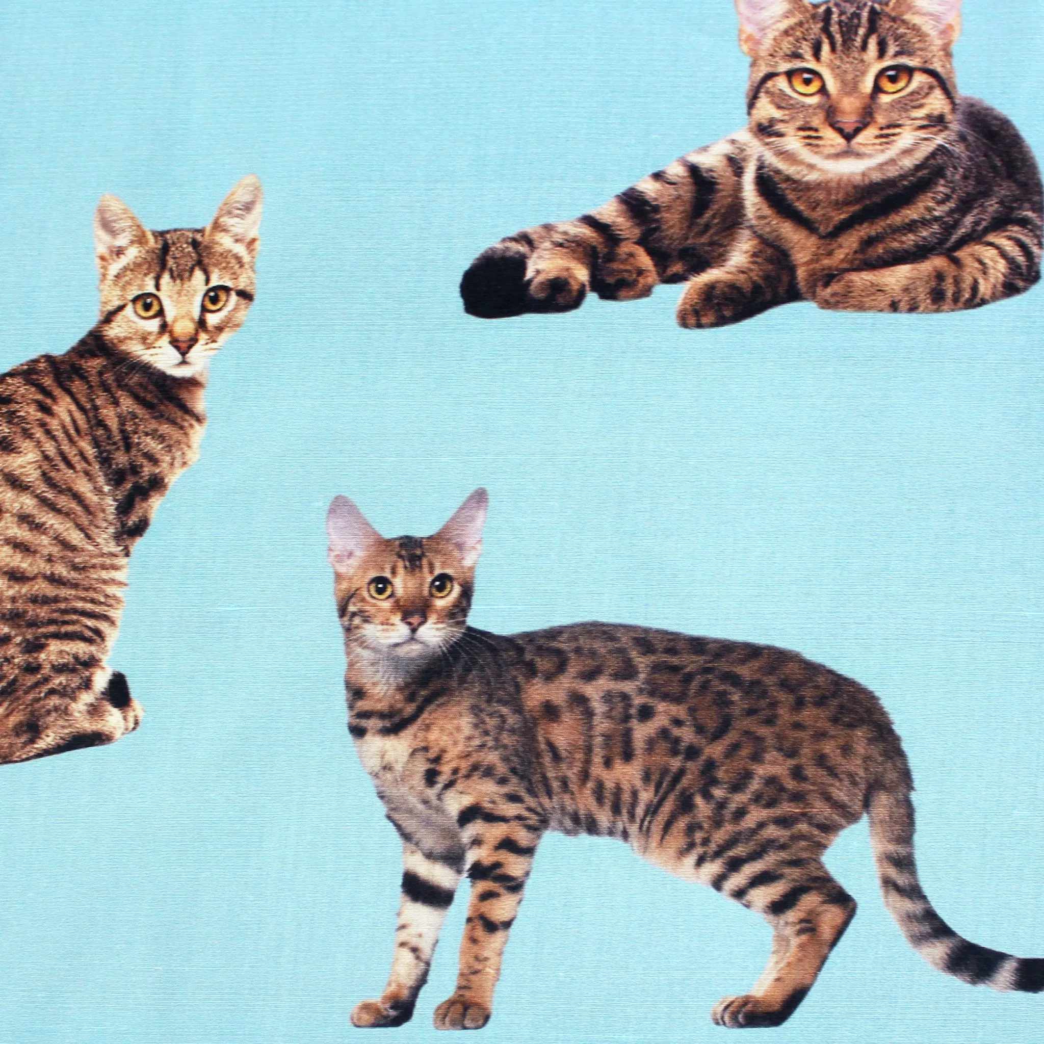 French 'good kitty' printed silk woven - sky